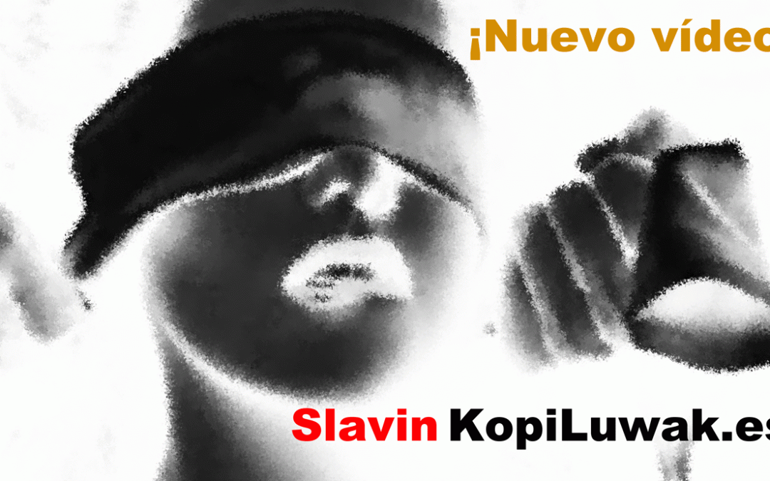 Vídeo Slavin